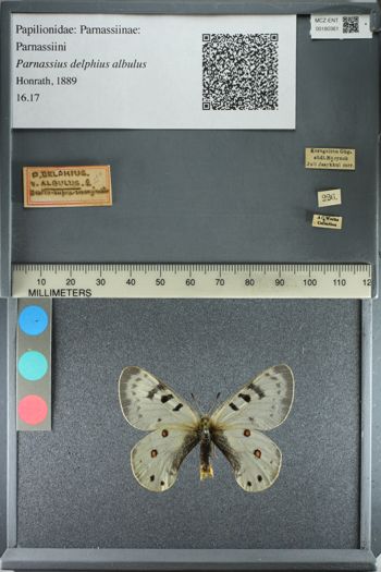 Media type: image;   Entomology 180361